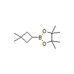 3,3-Dimethylcyclobutylboronic Acid Pinacol Ester