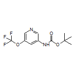 N-Boc-3-amino-5-(trifluoromethoxy)pyridine