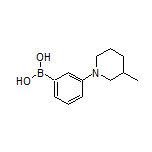 3-(3-Methyl-1-piperidyl)phenylboronic Acid