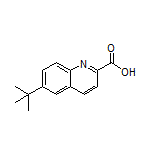 6-(tert-Butyl)quinoline-2-carboxylic Acid