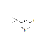 3-(tert-Butyl)-5-iodopyridine