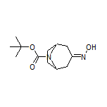 8-Boc-8-azabicyclo[3.2.1]octan-3-one Oxime