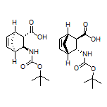 (1S,2S,3S,4R)-rel-3-(Boc-amino)bicyclo[2.2.1]hept-5-ene-2-carboxylic Acid
