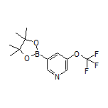 [5-(Trifluoromethoxy)pyridin-3-yl]boronic Acid Pinacol Ester