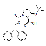 (2S,3R)-1-Fmoc-3-(tert-butoxy)pyrrolidine-2-carboxylic Acid