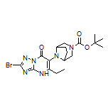 2-Bromo-6-(3-Boc-3,8-diazabicyclo[3.2.1]octan-8-yl)-5-ethyl-[1,2,4]triazolo[1,5-a]pyrimidin-7(4H)-one